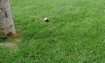 Imagem 6: Corumbá IV, condomínio encanto do lago III