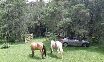 Imagem 4: Chácara à venda, 43700 m² por R$ 990.000,00 - Estação - Araucária/PR