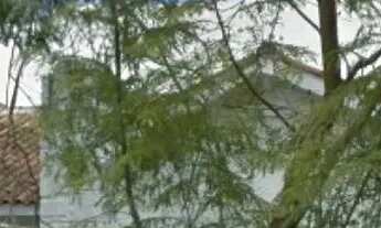 Imagem 2: Edifício para Aluguel no Menino Deus com Área de 230m² - Oportunidade Única!