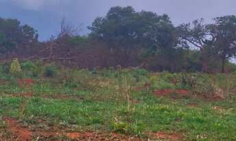 Imagem 3: 2 alqueires de terra