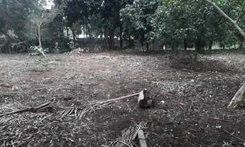 Imagem 11: Lote em condomínio em Rua Unidos de Vila Isabel - Jardim San Ressore (Caucaia do Alto) - C