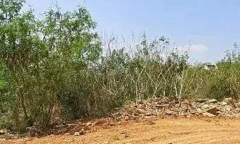 Imagem 6: TERRENO - JARDIM JUREMA - SP