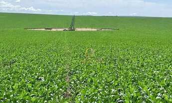 Imagem 7: Fazenda 15.000 hectares a venda em Itiquira em Mato Grosso!