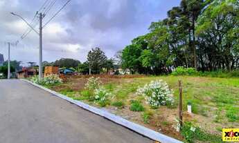 Imagem 2: Terreno para Venda em Nova Petrópolis, Logradouro