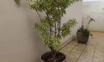 Imagem 3: CASA PROXIMA A UNIFAC