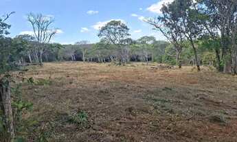 Imagem 2: CHÁCARA 30.000 METROS - 1KM ASFALTO e 7KM UBERLÂNDIA