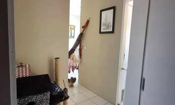 Imagem 7: Apartamento 250mil