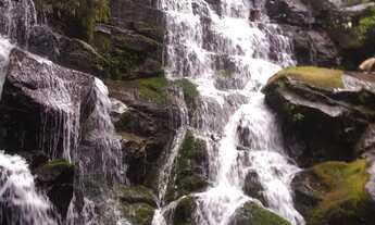 Imagem 5: Natureza viva e original