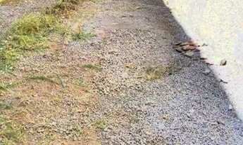 Imagem 3: Terreno à venda nos Campos Elíseos