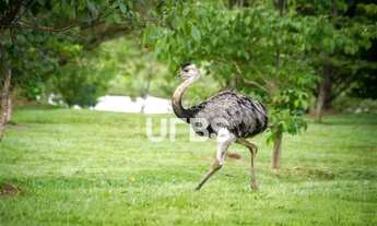 Imagem 4: Lote à venda no Aldeia do Vale