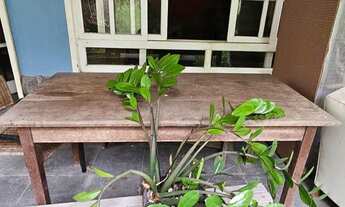 Imagem 7: Aluguel quartos are charmosa do horto