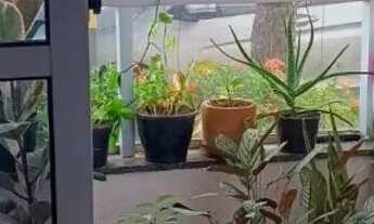 Imagem 3: Apartamento Para Alugar No Condomínio Palm Ville