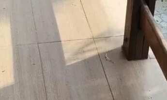 Imagem 4: Casa de condomínio em Alameda Pinhal - Roseira - Mairiporã/SP