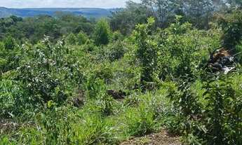 Imagem 5: Vende-se chácara de 2,500 metros quadrados