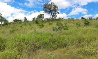 Imagem 2: Vendo Terreno de 2 mil metros