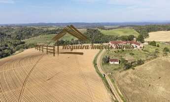 Imagem: Excelente fazenda a venda em São Miguel