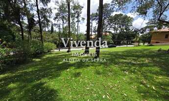 Imagem 7: Terreno à venda em Aldeia da Serra - 600 m² em alameda tranquila e arborizada