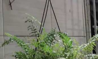 Imagem 2: Alugo apartamento pela imobiliária