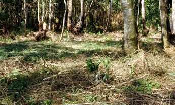 Imagem 2: Sitio taiacupeba com 20mil m2 escritura ok