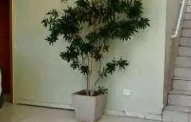 Imagem 2: Excelente sobrado 3 dormitorios