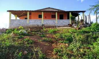 Imagem: Granja em ilha no açude de Boqueirão