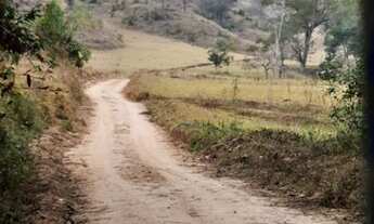 Imagem 4: Fazenda no Jaguaraçu