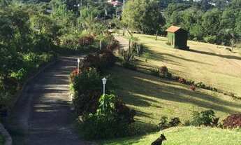 Imagem 7: Sítio maravilhoso em P A/RS, com 15.000mq por 1.500.000,00