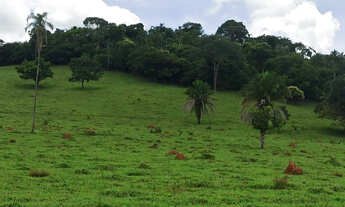 Imagem: Fazenda com 28 alqueires em Ouro Verde-GO