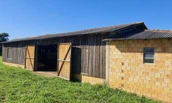 Imagem 4: Sítio 3 hectares em Viamão, 500 metros RS040, para investidor!