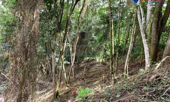 Imagem 5: Valor Reduzido Terreno à venda, 650 m² por R$ 120.000 - Conselheiro Paulino / PRADO - Nova