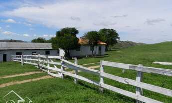 Imagem 4: Santana da Boa Vista - Fazenda - Zona rural