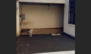 Imagem 5: Casa térrea Campos Elíseos 200 m² - Ribeirão Preto - SP