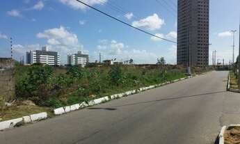 Imagem 7: Terreno na Maria Lacerda 22.000 m2