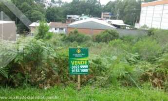 Imagem 3: CAXIAS DO SUL - Terreno Padrão - Sanvitto