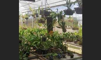 Imagem 4: Orquidário ecomerce empresa em funcionamento