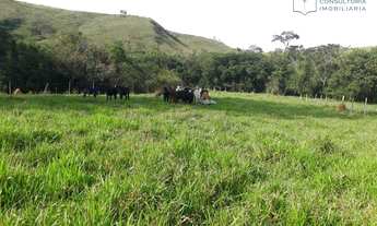 Imagem 5: Fazenda à venda, 900000 m² - 6km São Roque de Minas - Minas Gerais - por R$ 2.500.000