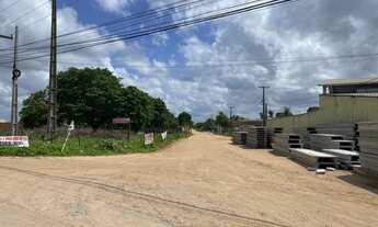 Imagem 4: Terreno com 3.250 m2 na BR 304