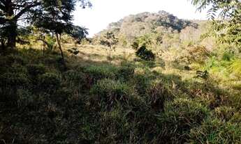 Imagem 2: Terreno 29ha, terra boa e quase todo formado em branquearão, Baldim