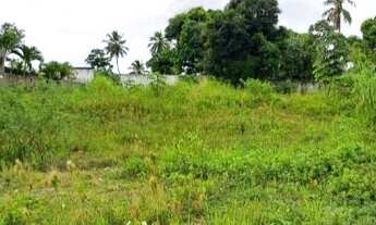 Imagem 4: TERRENO PLANO COM 3.205 m2, EM RUA AMAZONAS, NO CABULA