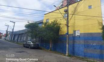 Imagem 4: Galpão/Depósito/Armazém para venda possui 592 metros quadrados em Vila Sônia - São Paulo