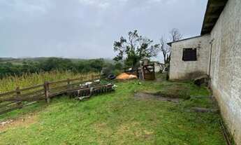 Imagem 7: Santana da Boa Vista - Fazenda - Zona rural