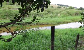 Imagem 11: Roça de Cacau / Sítio em Laje - Bahia