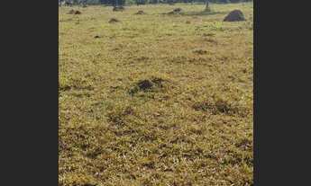 Imagem 7: Guapó - Chácara com muita água