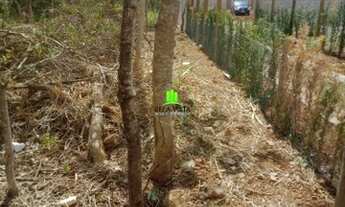 Imagem 2: LAGOA SANTA - Terreno Padrão - Estância Das Petúnias