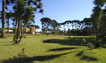 Imagem: ÁREA com 1 dormitório à venda com 16746.5m²