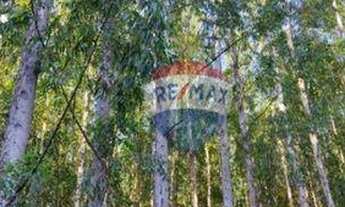 Imagem 6: Fazenda com 4 dormitórios à venda, 10340000 m² por R$ 10.000.000,00 - Serra do Cipó - Sant