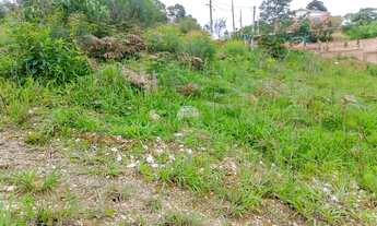 Imagem 12: Terreno em declive, na Colônia Antônio Prado - Almirante Tamandaré, PR