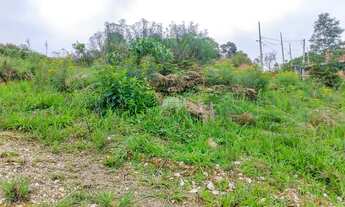 Imagem 13: Terreno em declive, na Colônia Antônio Prado - Almirante Tamandaré, PR
