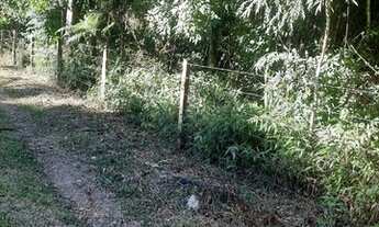 Imagem 7: Chácara ótima oportunidade