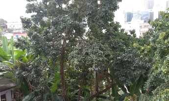 Imagem 2: SANTA TEREZA - 2QUARTOS- VISTA LIVRE-OPORTUNIDADE